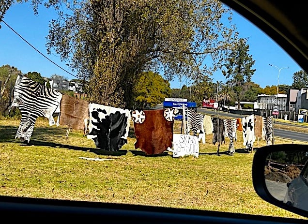Animal skins for sale at roadside © Elsa Dixon