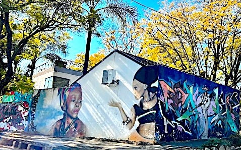 Art on the wall, Johannesburg suburb © Elsa Dixon