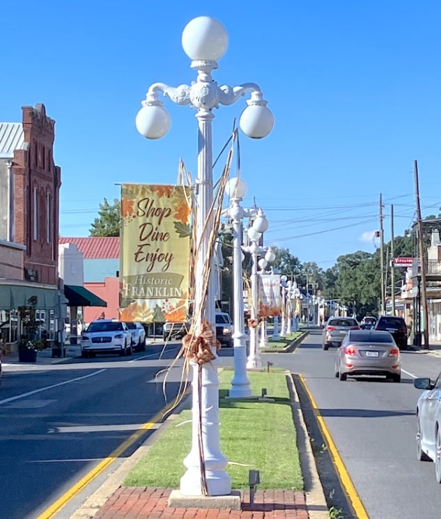 Lamp Posts © Merle Rosenstein