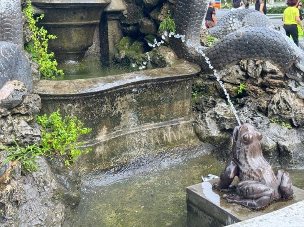 Frog Garden frog spitting water © Scott Kendall 