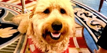 Buddy hopes you get the chance to visit The Broadmoor, his favorite luxury resort © Scott Kendall