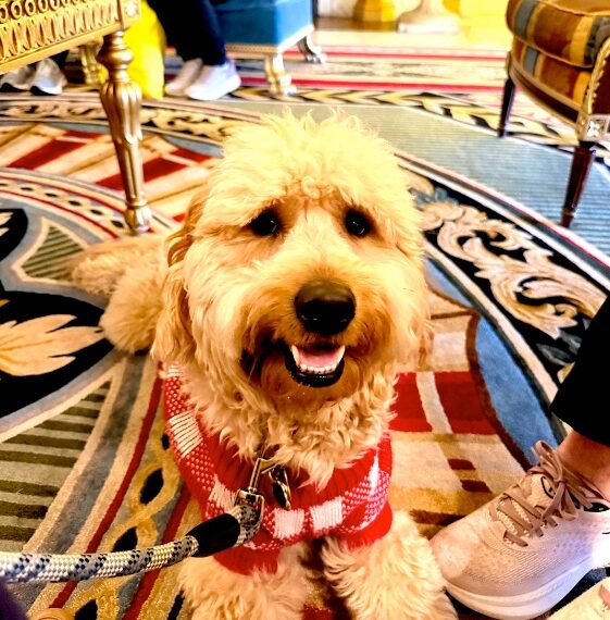 Buddy hopes you get the chance to visit The Broadmoor, his favorite luxury resort © Scott Kendall