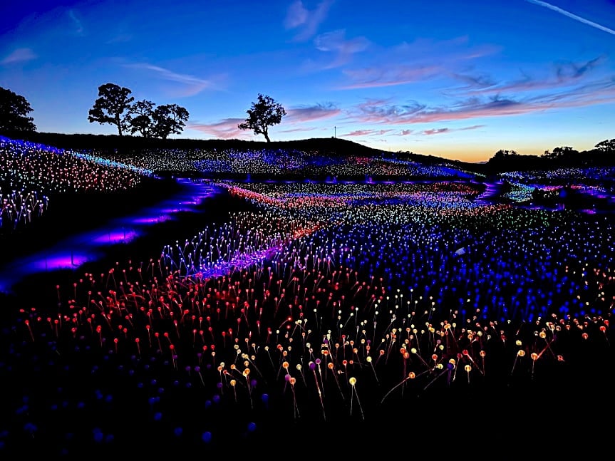 Sensorio Field of Light is magical © Scott Kendall