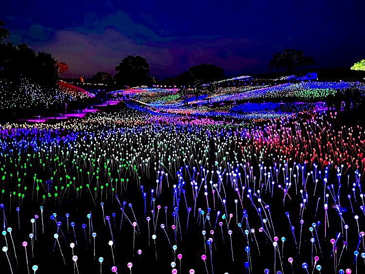 Sensorio in Paso Robles night
views © Scott Kendall