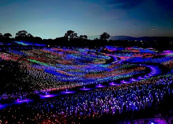 Sensorio beautiful Field of Lights © Scott Kendall