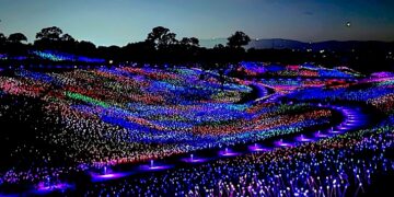 Sensorio beautiful Field of Lights © Scott Kendall