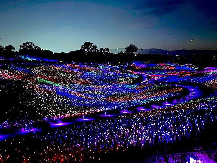 Sensorio beautiful Field of Lights © Scott Kendall