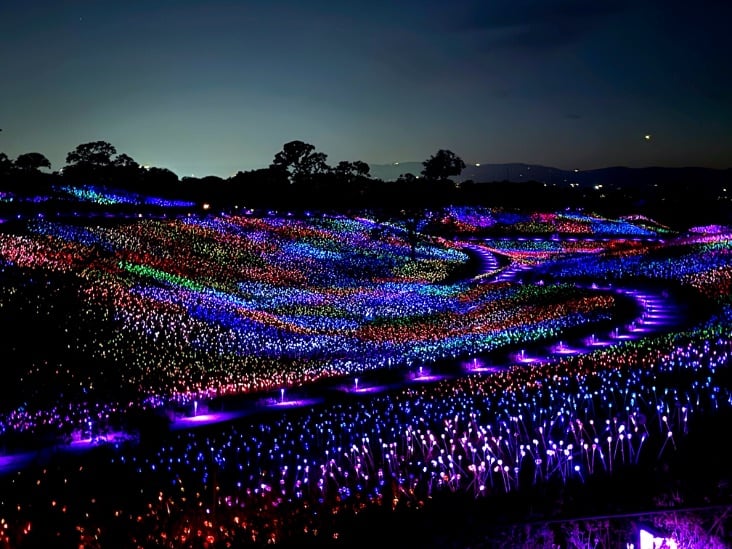 Sensorio Field of Light in Paso Robles is spectacular © Scott Kendall