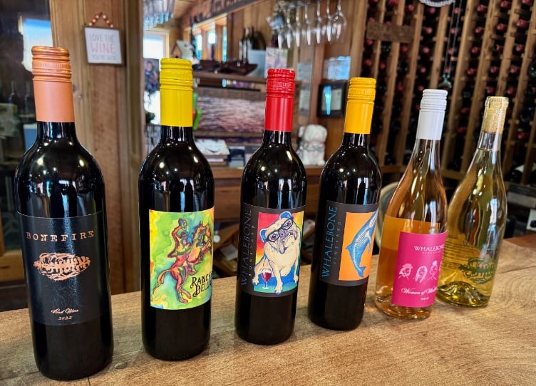 Whalebone wines in tasting room © Scott Kendall