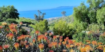 Botanical Gardens ocean view with spiked orange flowers © Scott Kendall