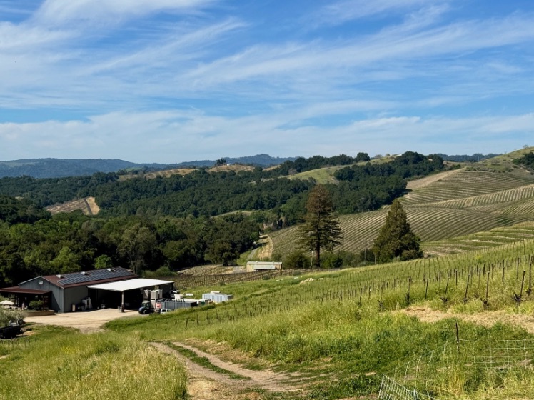 MAHA Villa Creek tasting room from top of hill © Scott Kendall