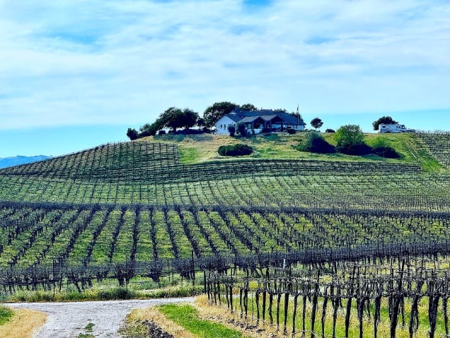 Steinbeck vineyards with home on the hill at this local icon, one of the best wineries in Paso Robles © Scott Kendall