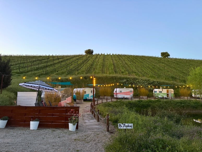 Trailer Pond at Alta Colina overlooking vineyards © Scott Kendall 