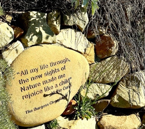 "All my life through, the new sights of Nature made me rejoice like a child." Marie Curie The Burgess Clegg Family © Scott Kendall –words of wisdom