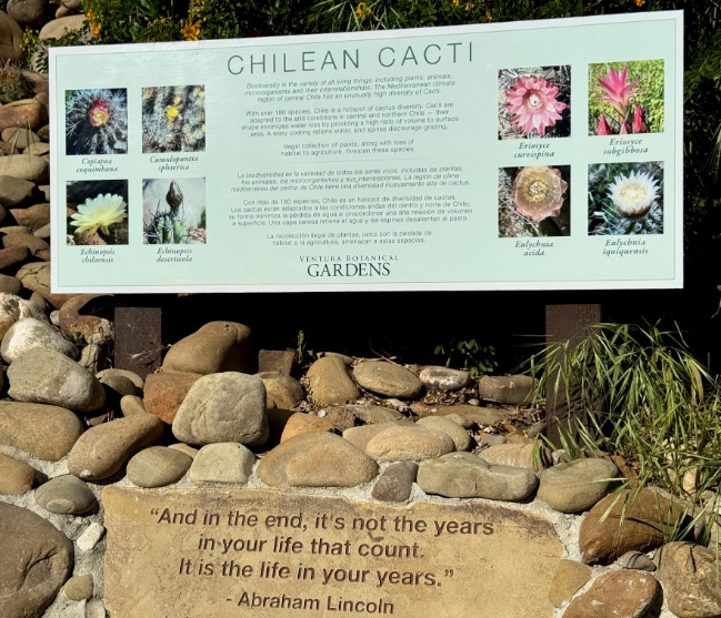 "And in the end, it's not the years in your life that count. It is the life in your years." Abraham Lincoln © Scott Kendall – more words of wisdom in the Ventura Botanical Gardens