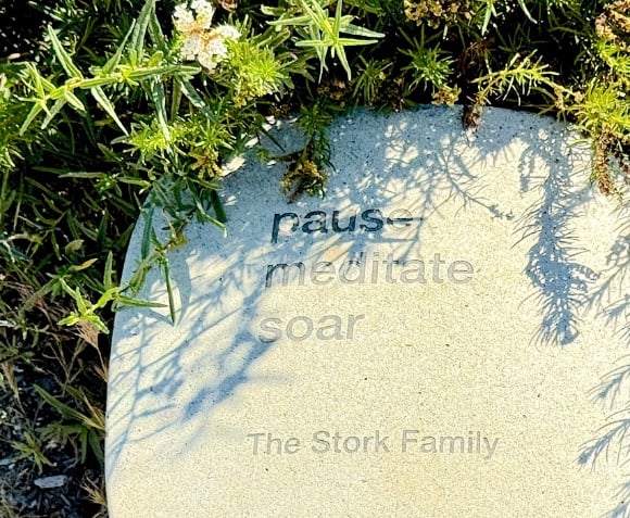 "pause - meditate - soar" – The Stork Family © Scott Kendall 