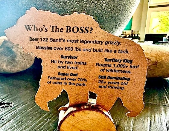 Who's The Boss? © Scott Kendall