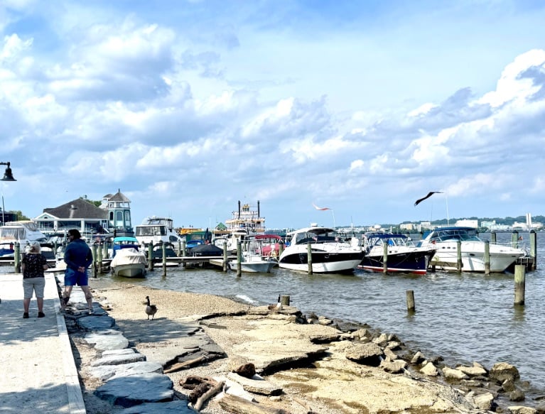 Alexandria Waterfront © Scott Kendall 