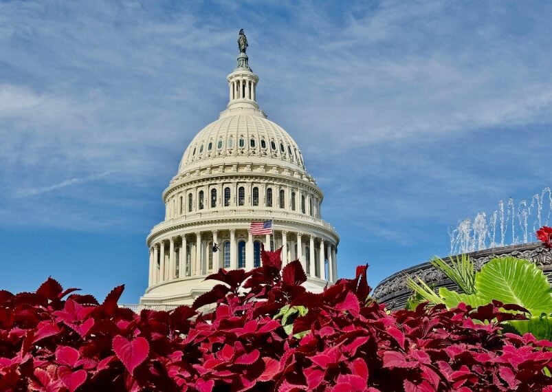 US Capitol dome above red foliage © Scott Kendall