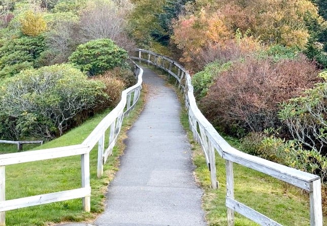 Watterrock Knob trail © Scott Kendall